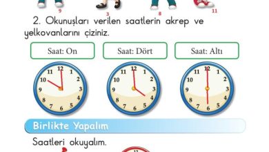 1. Sınıf Matematik Meb Yayınları Sayfa 143 Cevapları