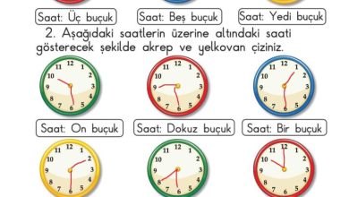 1. Sınıf Matematik Meb Yayınları Sayfa 144 Cevapları