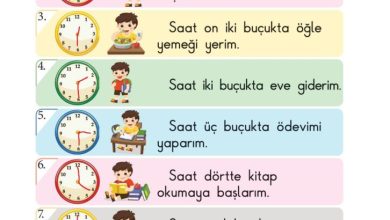 1. Sınıf Matematik Meb Yayınları Sayfa 145 Cevapları