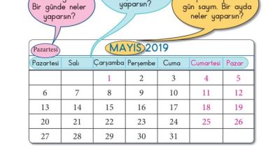 1. Sınıf Matematik Meb Yayınları Sayfa 146 Cevapları