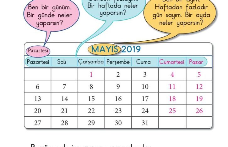 1. Sınıf Matematik Meb Yayınları Sayfa 146 Cevapları