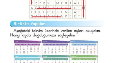 1. Sınıf Matematik Meb Yayınları Sayfa 147 Cevapları