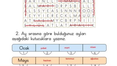 1. Sınıf Matematik Meb Yayınları Sayfa 148 Cevapları