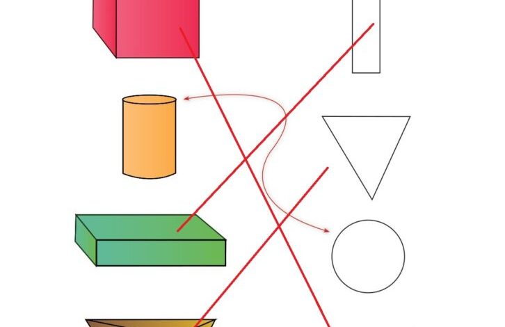 1. Sınıf Matematik Meb Yayınları Sayfa 155 Cevapları