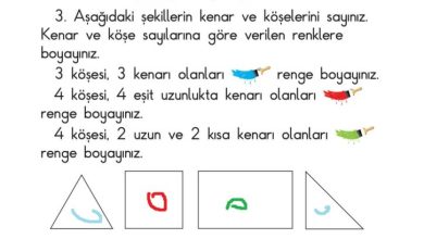 1. Sınıf Matematik Meb Yayınları Sayfa 157 Cevapları