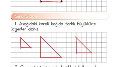 1. Sınıf Matematik Meb Yayınları Sayfa 159 Cevapları