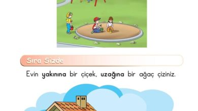 1. Sınıf Matematik Meb Yayınları Sayfa 16 Cevapları