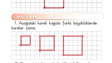 1. Sınıf Matematik Meb Yayınları Sayfa 160 Cevapları