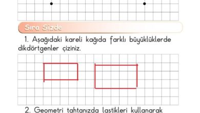 1. Sınıf Matematik Meb Yayınları Sayfa 161 Cevapları