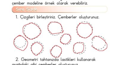 1. Sınıf Matematik Meb Yayınları Sayfa 162 Cevapları