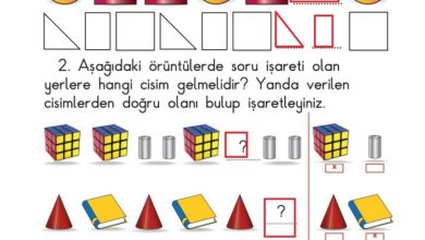 1. Sınıf Matematik Meb Yayınları Sayfa 166 Cevapları