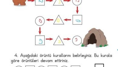 1. Sınıf Matematik Meb Yayınları Sayfa 167 Cevapları