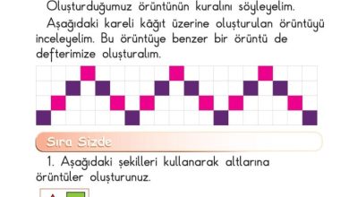 1. Sınıf Matematik Meb Yayınları Sayfa 168 Cevapları