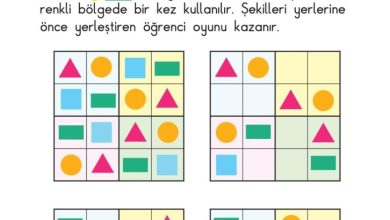 1. Sınıf Matematik Meb Yayınları Sayfa 170 Cevapları