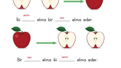 1. Sınıf Matematik Meb Yayınları Sayfa 171 Cevapları