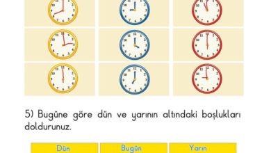 1. Sınıf Matematik Meb Yayınları Sayfa 173 Cevapları