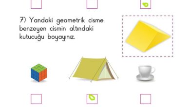 1. Sınıf Matematik Meb Yayınları Sayfa 174 Cevapları