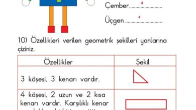 1. Sınıf Matematik Meb Yayınları Sayfa 175 Cevapları