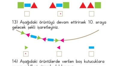 1. Sınıf Matematik Meb Yayınları Sayfa 176 Cevapları