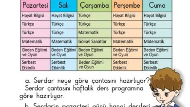 1. Sınıf Matematik Meb Yayınları Sayfa 178 Cevapları