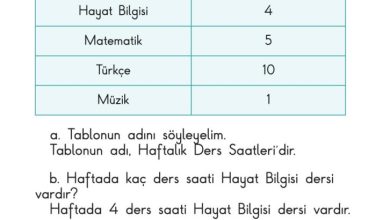 1. Sınıf Matematik Meb Yayınları Sayfa 179 Cevapları