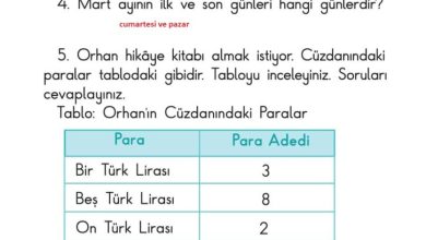 1. Sınıf Matematik Meb Yayınları Sayfa 182 Cevapları