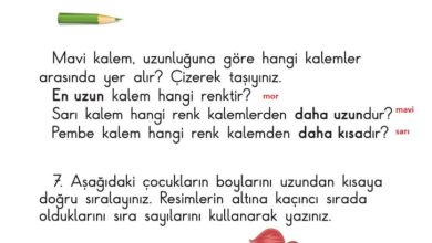 1. Sınıf Matematik Meb Yayınları Sayfa 185 Cevapları