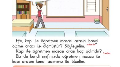 1. Sınıf Matematik Meb Yayınları Sayfa 186 Cevapları