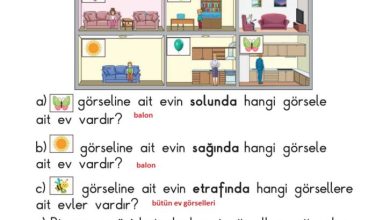 1. Sınıf Matematik Meb Yayınları Sayfa 19 Cevapları