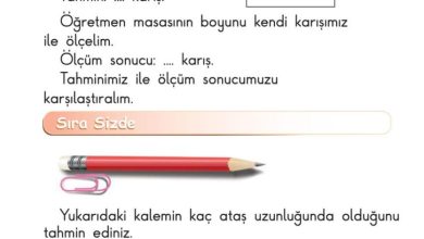 1. Sınıf Matematik Meb Yayınları Sayfa 190 Cevapları