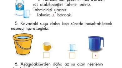 1. Sınıf Matematik Meb Yayınları Sayfa 193 Cevapları