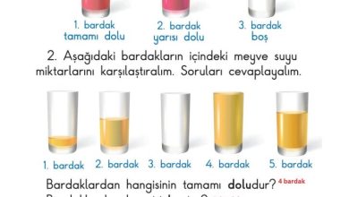 1. Sınıf Matematik Meb Yayınları Sayfa 194 Cevapları