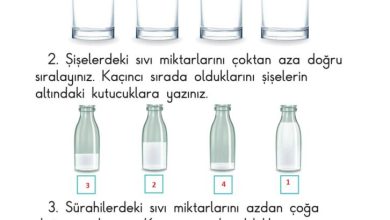 1. Sınıf Matematik Meb Yayınları Sayfa 195 Cevapları