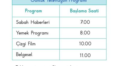 1. Sınıf Matematik Meb Yayınları Sayfa 196 Cevapları