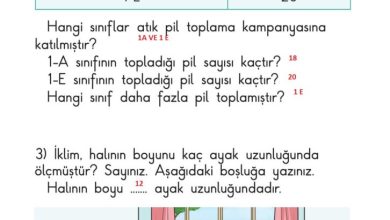 1. Sınıf Matematik Meb Yayınları Sayfa 197 Cevapları