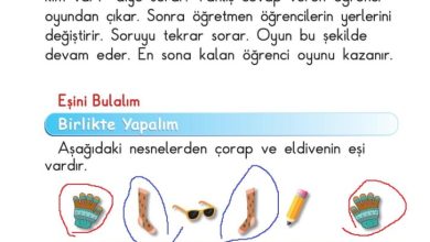 1. Sınıf Matematik Meb Yayınları Sayfa 20 Cevapları