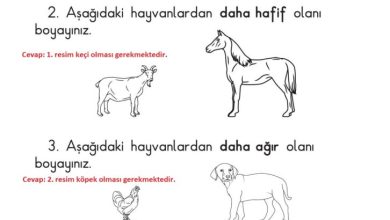 1. Sınıf Matematik Meb Yayınları Sayfa 23 Cevapları