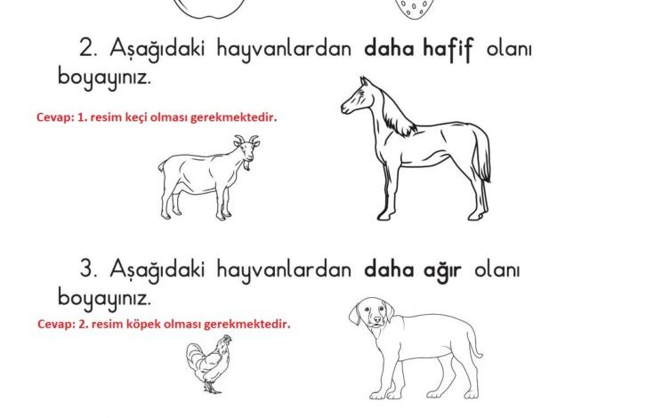 1. Sınıf Matematik Meb Yayınları Sayfa 23 Cevapları