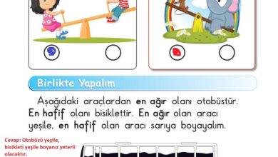 1. Sınıf Matematik Meb Yayınları Sayfa 24 Cevapları