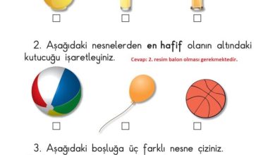 1. Sınıf Matematik Meb Yayınları Sayfa 25 Cevapları