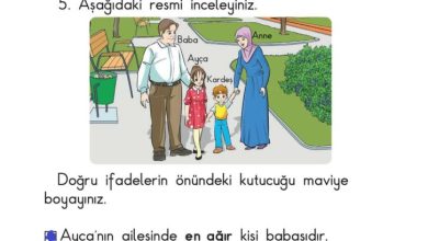 1. Sınıf Matematik Meb Yayınları Sayfa 26 Cevapları