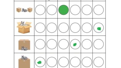 1. Sınıf Matematik Meb Yayınları Sayfa 27 Cevapları