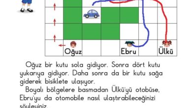 1. Sınıf Matematik Meb Yayınları Sayfa 28 Cevapları