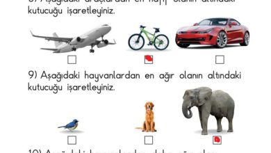 1. Sınıf Matematik Meb Yayınları Sayfa 30 Cevapları