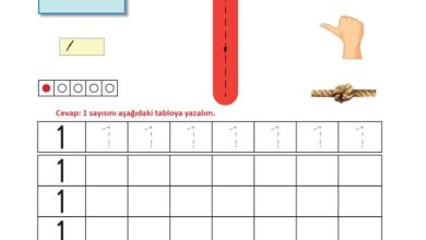 1. Sınıf Matematik Meb Yayınları Sayfa 33 Cevapları