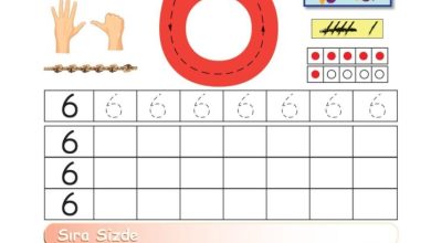 1. Sınıf Matematik Meb Yayınları Sayfa 38 Cevapları