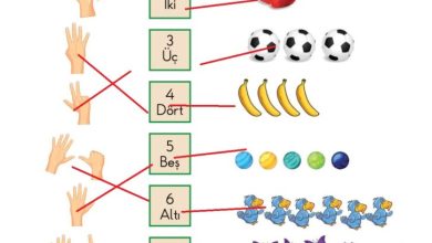 1. Sınıf Matematik Meb Yayınları Sayfa 43 Cevapları