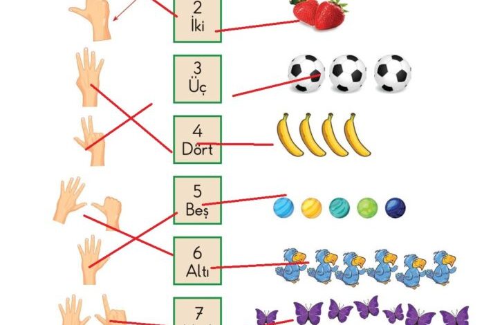 1. Sınıf Matematik Meb Yayınları Sayfa 43 Cevapları