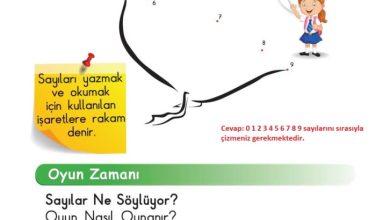 1. Sınıf Matematik Meb Yayınları Sayfa 45 Cevapları