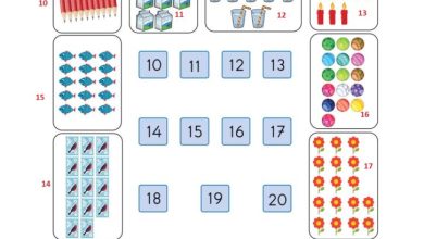 1. Sınıf Matematik Meb Yayınları Sayfa 48 Cevapları